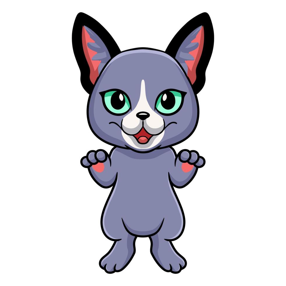 dibujos animados lindo gato azul ruso vector