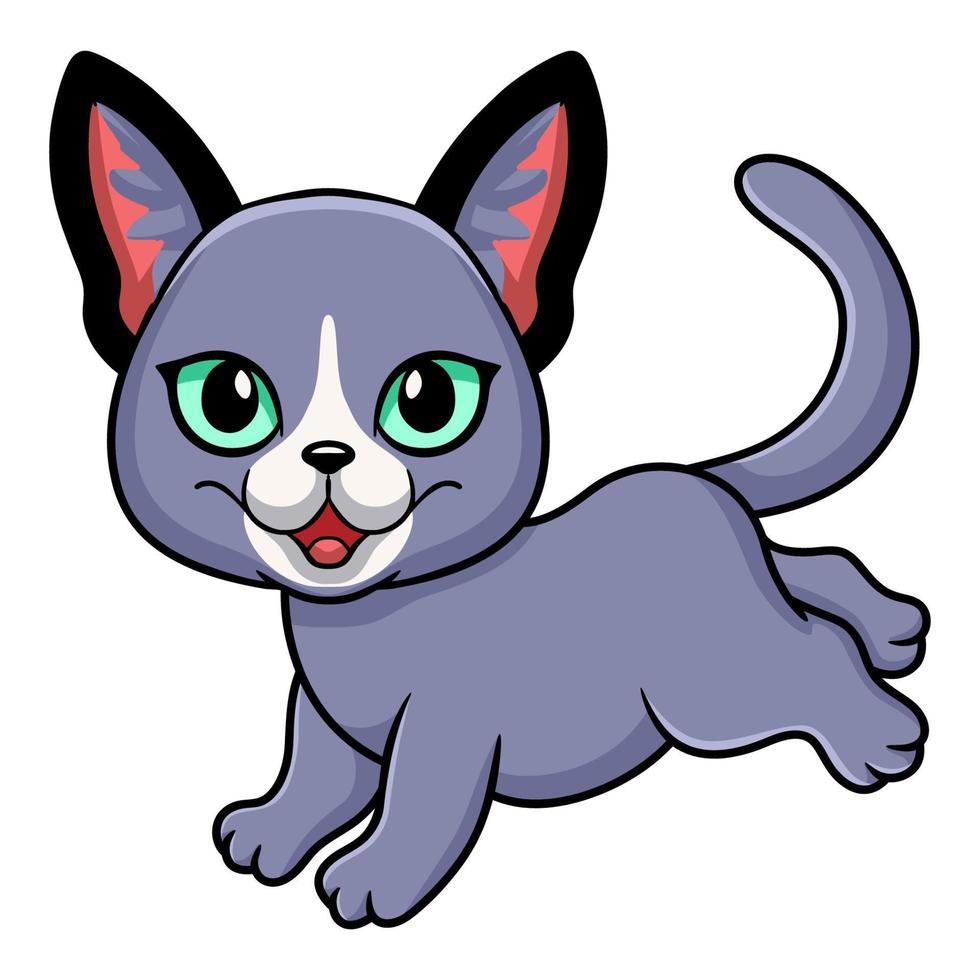 dibujos animados lindo gato azul ruso vector