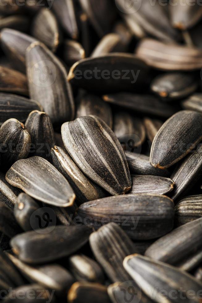 Seeds in a black shell are a bunch on a white background. In full screen. photo