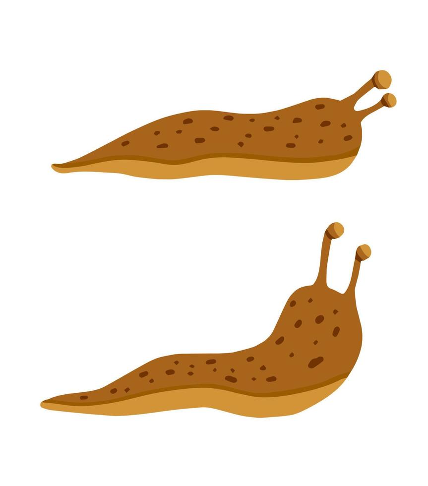 Green and brown slug. Set of slippery insects. Flat cartoon illustration isolated on white background vector