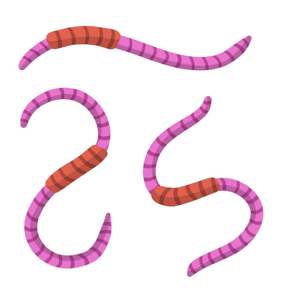 Earthworm. Pink worm and Underground insect. Fishing bait. Flat cartoon illustration vector