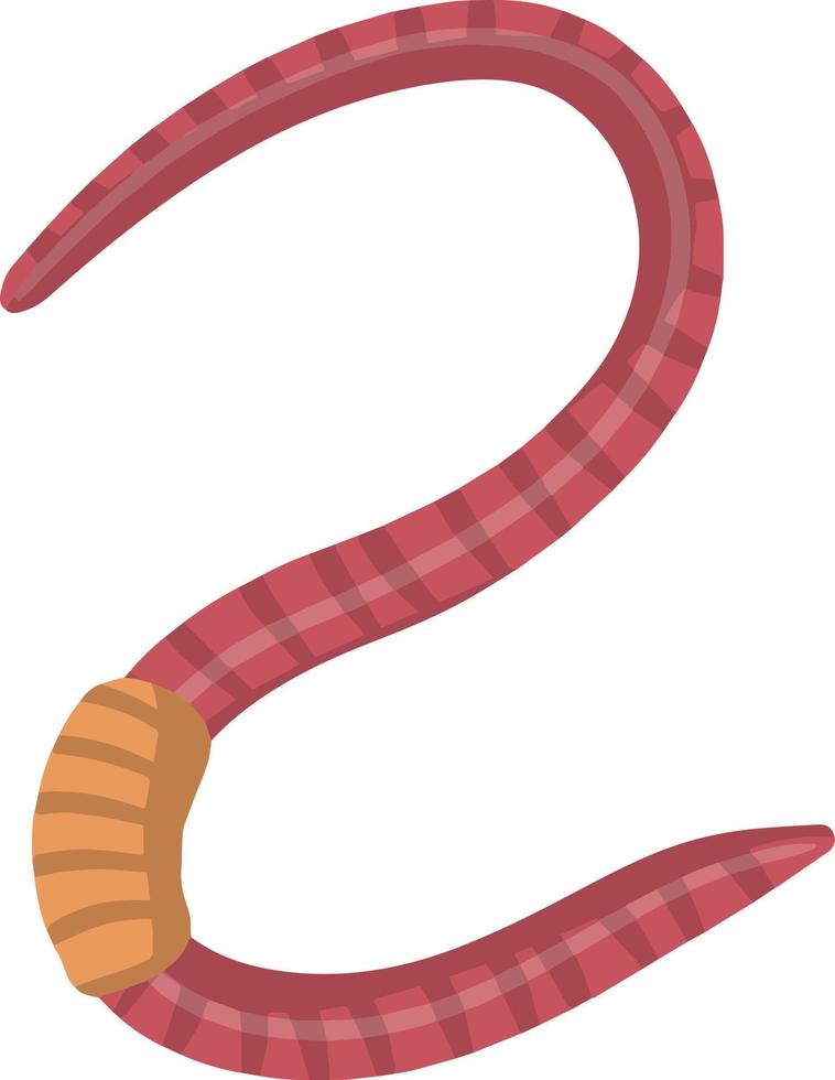 Earthworm. Pink worm and Underground insect. Fishing bait. Flat cartoon illustration vector
