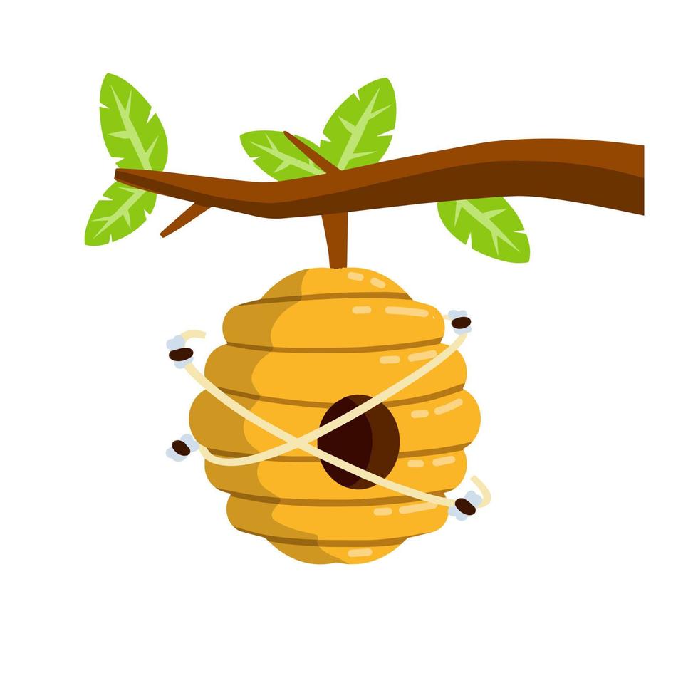 Hive. Yellow beehive. House of wasp and insect on tree. Element of nature and forests. Honey production. Branch with leaves. Flat cartoon illustration vector