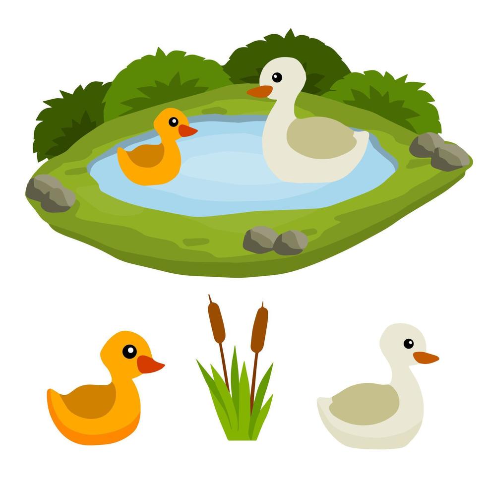 patos en estanque. el pollo nada en el lago. animal en la naturaleza y el bosque. hijo de pájaro en el agua. caricatura plana. vector