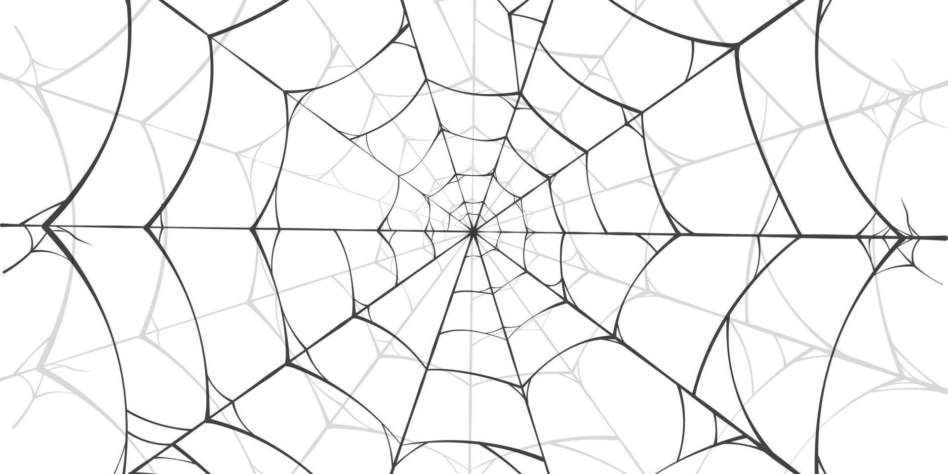 el fondo del lineout de las telas de araña en blanco y negro se puede utilizar de acuerdo con sus necesidades vector