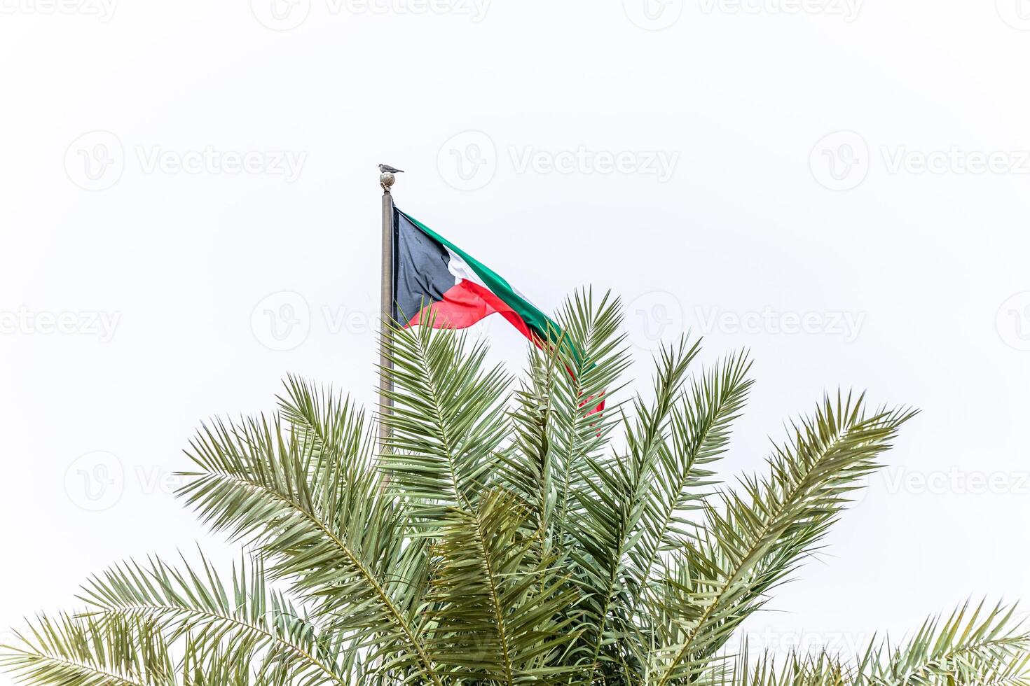 Kuwait flag waving in the sky photo