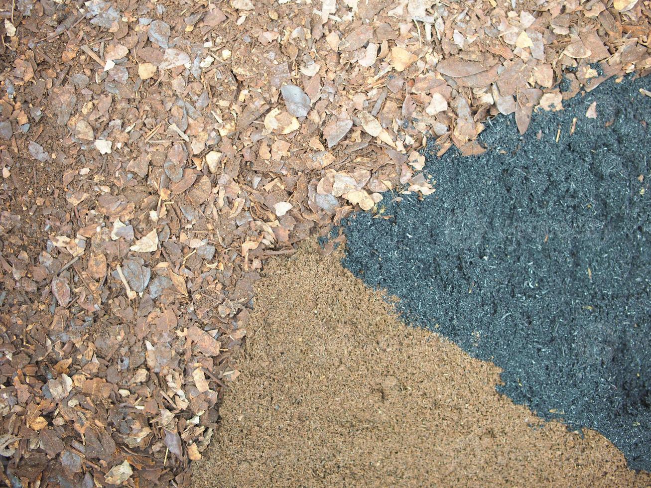 rain tree leafe soil mix with black soil and wormiculite photo