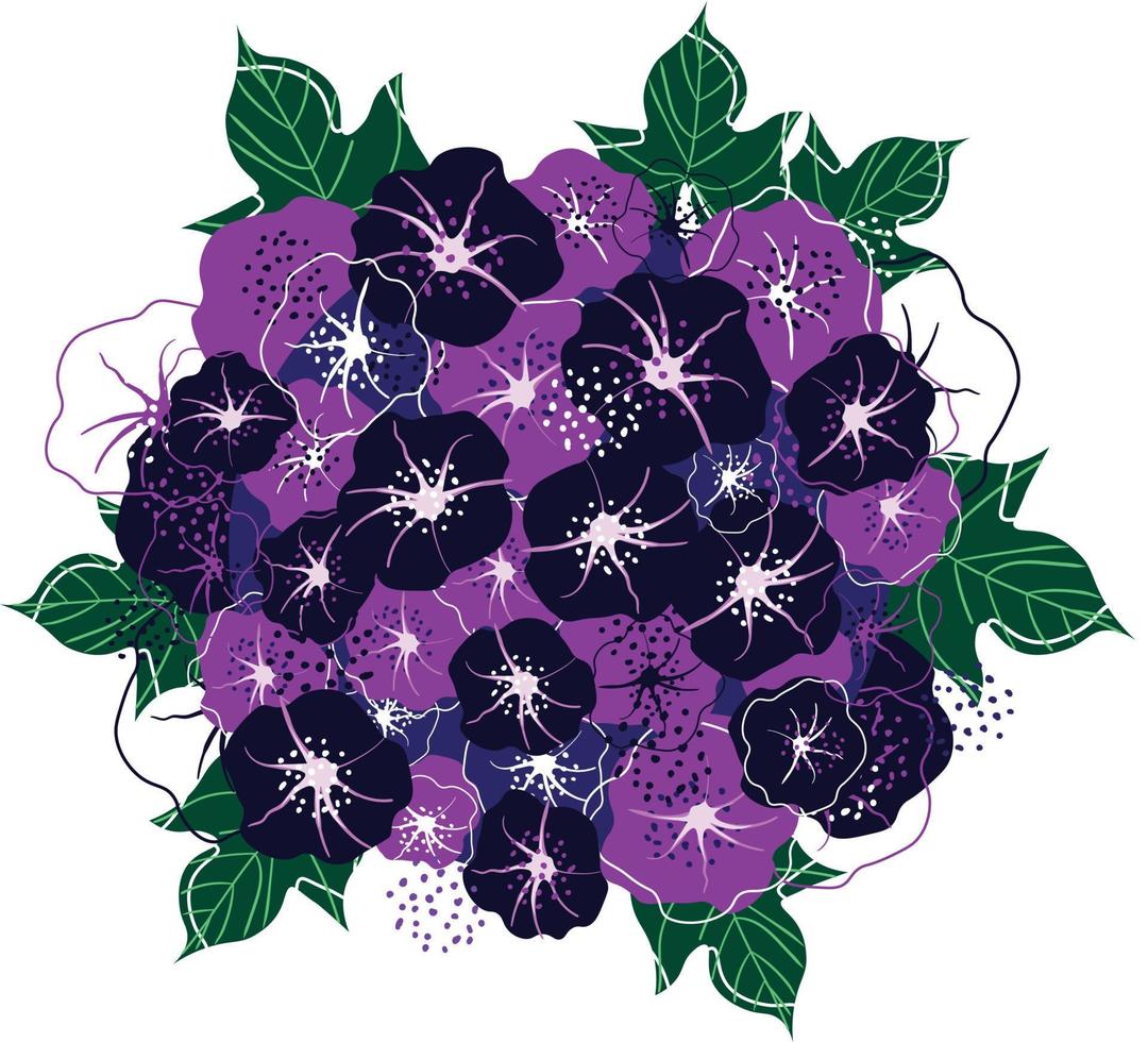 ilustración vectorial de flores de la gloria de la mañana con corona de marco de hojas vector