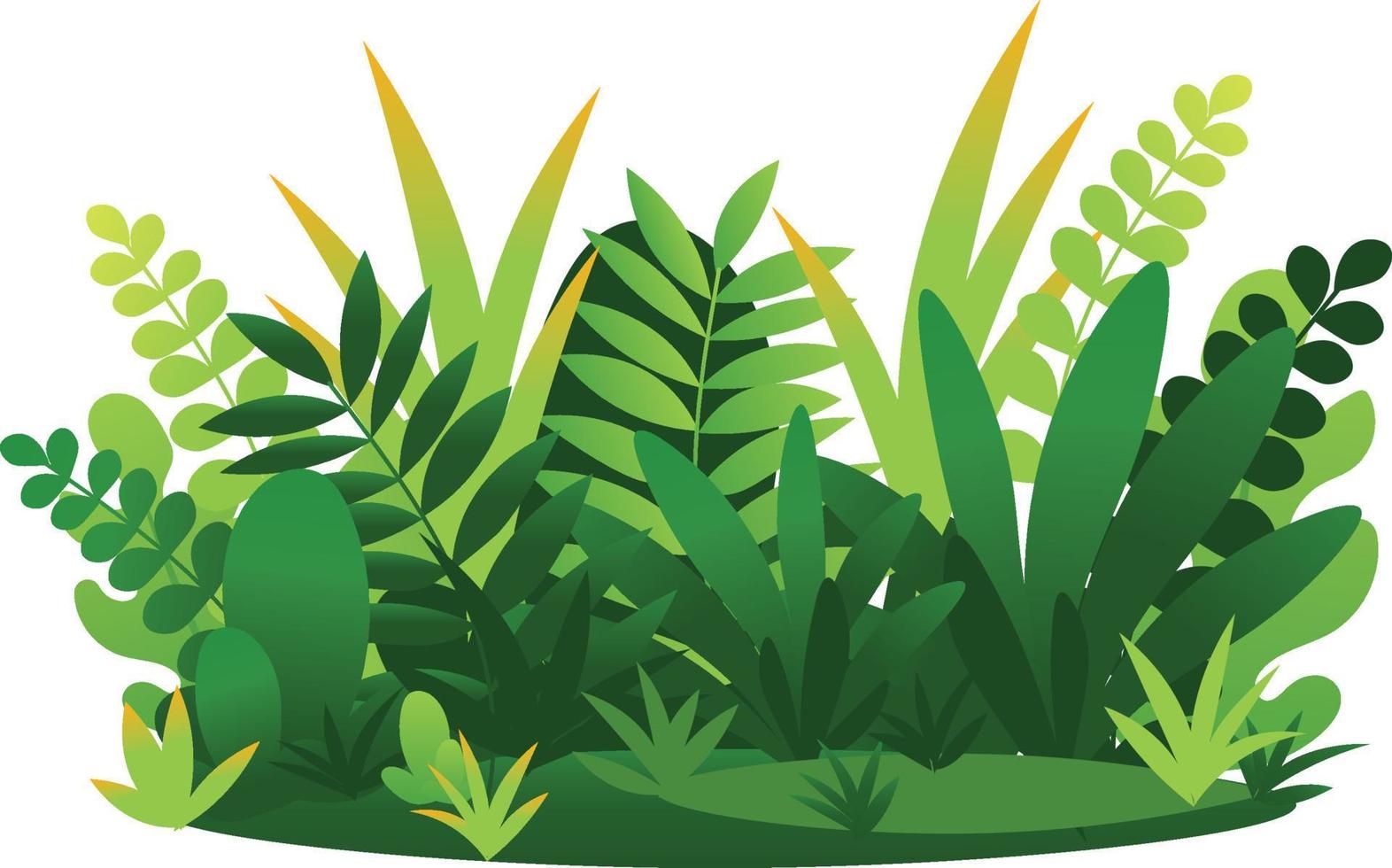 Exotic jungle tropical palm leaves vector