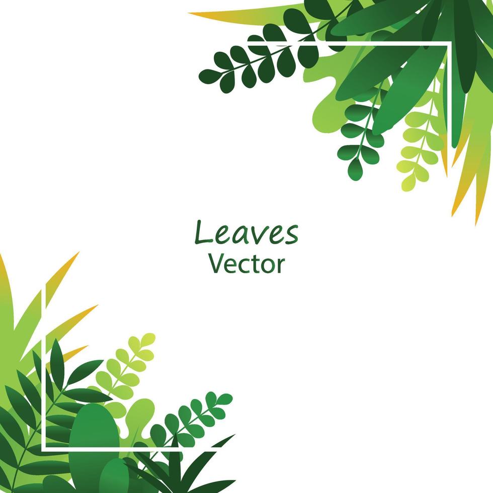 Exotic jungle tropical palm leaves vector