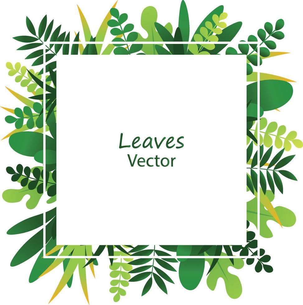 Exotic jungle tropical palm leaves vector