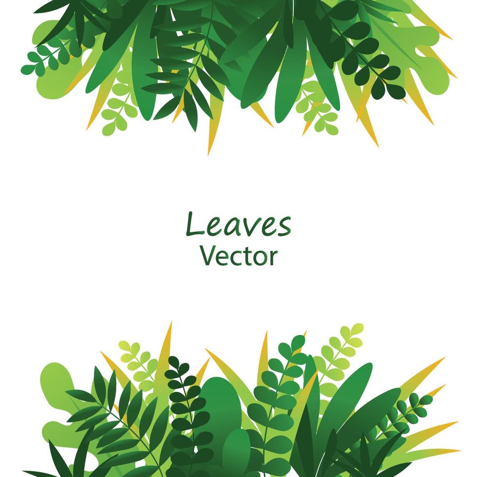 Exotic jungle tropical palm leaves vector