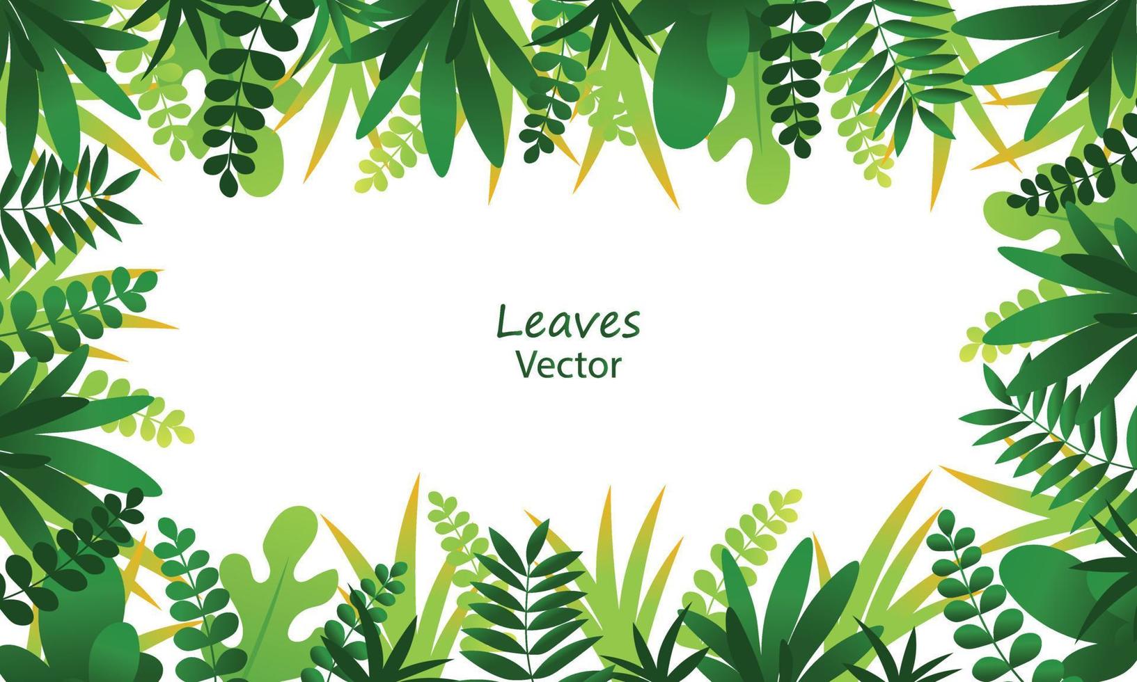 Exotic jungle tropical palm leaves vector