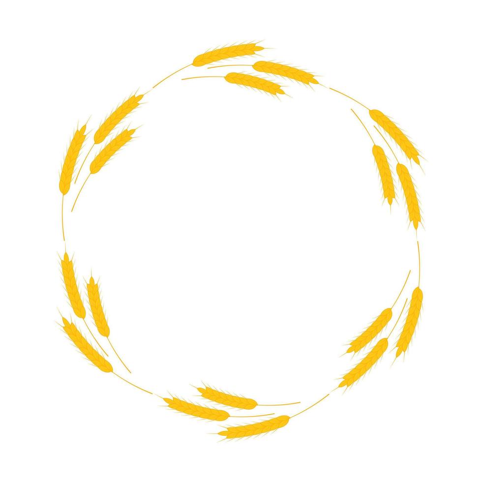A round frame of spikelets of wheat, oats, rye, or barley. Grain plant border, agricultural frame with spikelets. Banner for beer, bread, flour packaging design vector