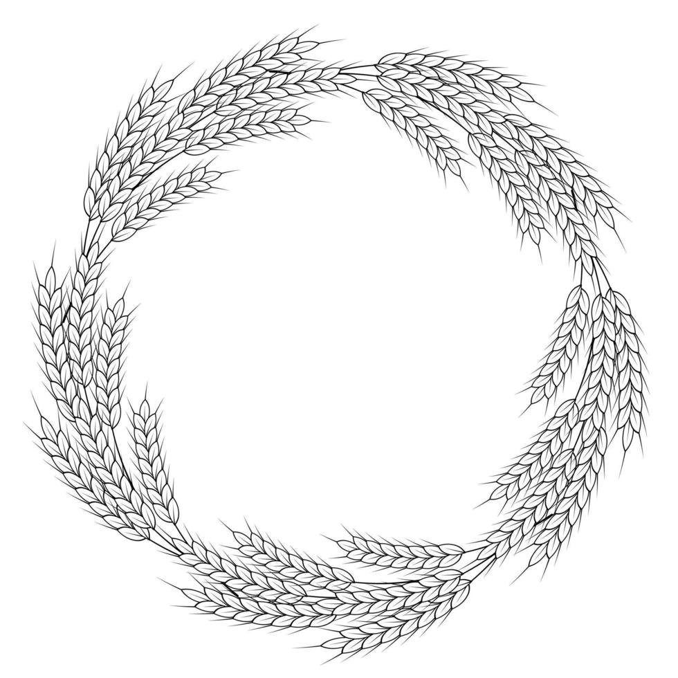 A round frame of spikelets of wheat, oats, rye, or barley. Grain plant border, agricultural frame with black and white spikelets. Banner for beer, bread, flour packaging design vector