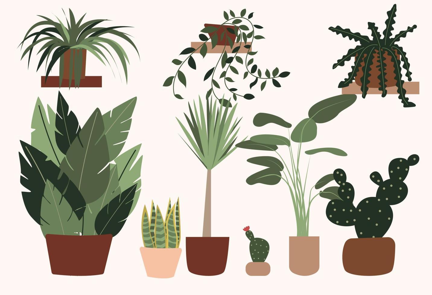 colección de plantas de ventana. conjunto de varias plantas de interior tropicales en macetas. ilustración vectorial de stock de estilo plano, eps 10 vector