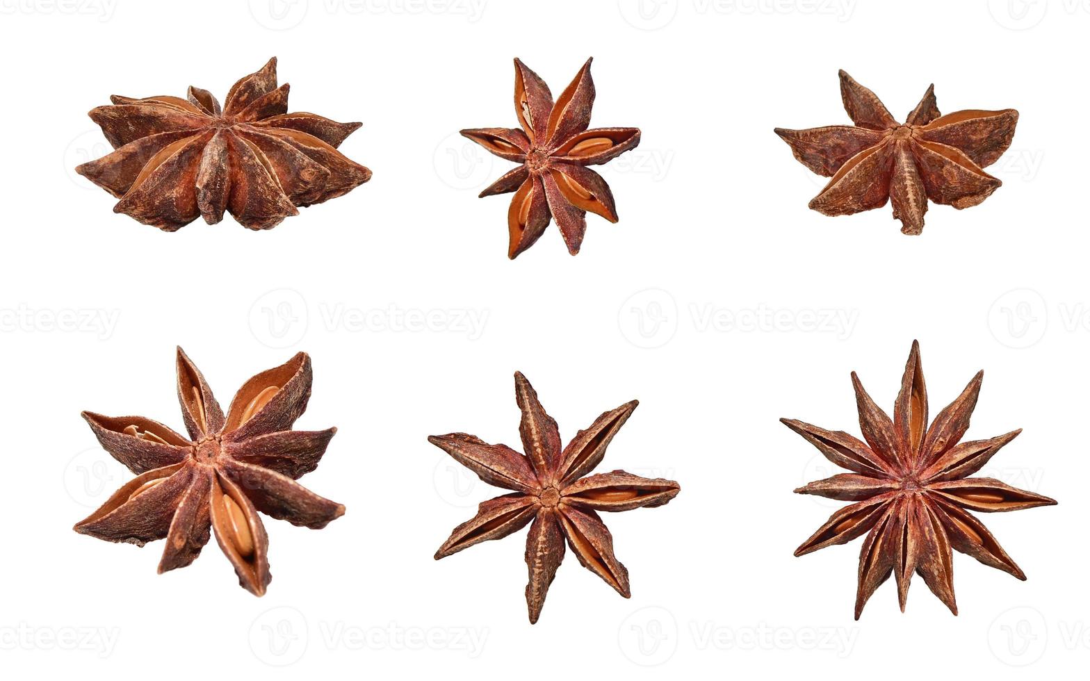 seis hermosas estrellas de anís de madera fotografiadas desde diferentes ángulos con semillas aisladas en fondo blanco foto