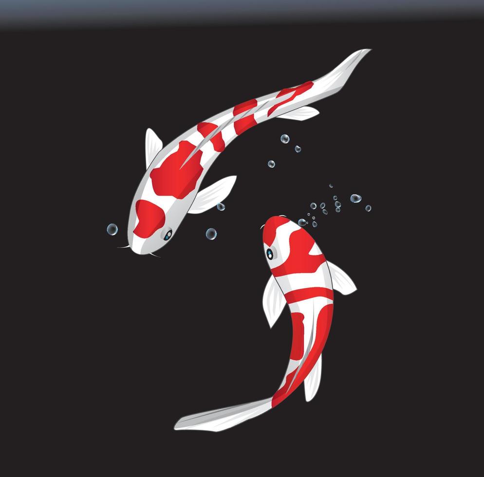 tres peces koi, carpa elegante, sobre un fondo negro vector