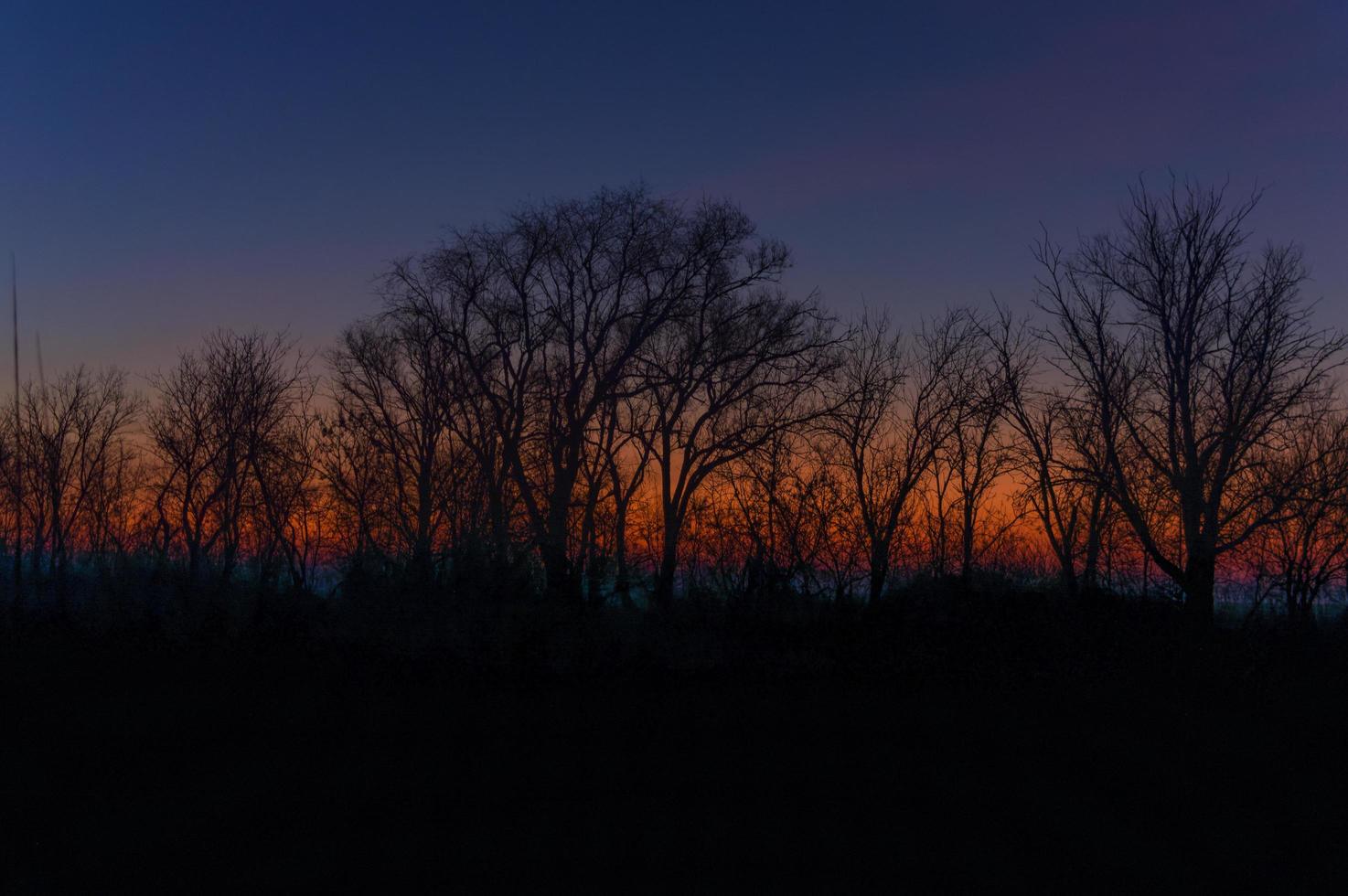 paisaje temprano en la mañana en el campo. el sol deja pasar hermosos rayos de luz a través de la niebla y los árboles. rayos de sol brillantes en un prado brumoso. foto