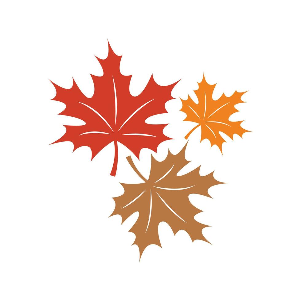 Maple logo icon design vector