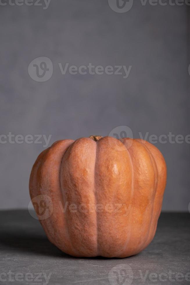 Ripe beautiful pumpkin on a gray background photo