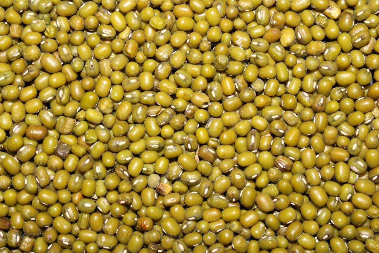 Seamless Pattern of Dried Green Mung Beans. photo