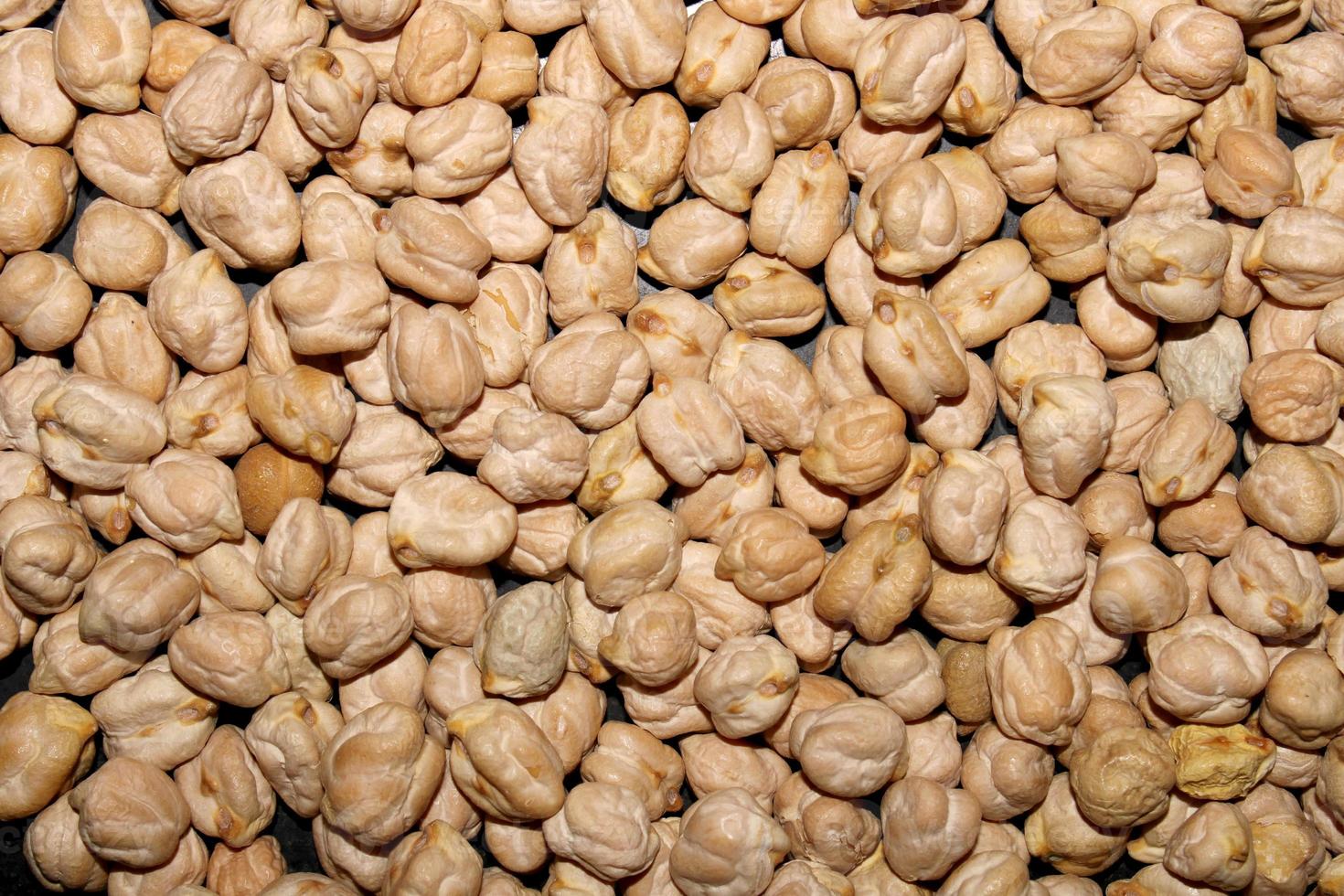Seamless Pattern of Dried Kabuli Chana. photo