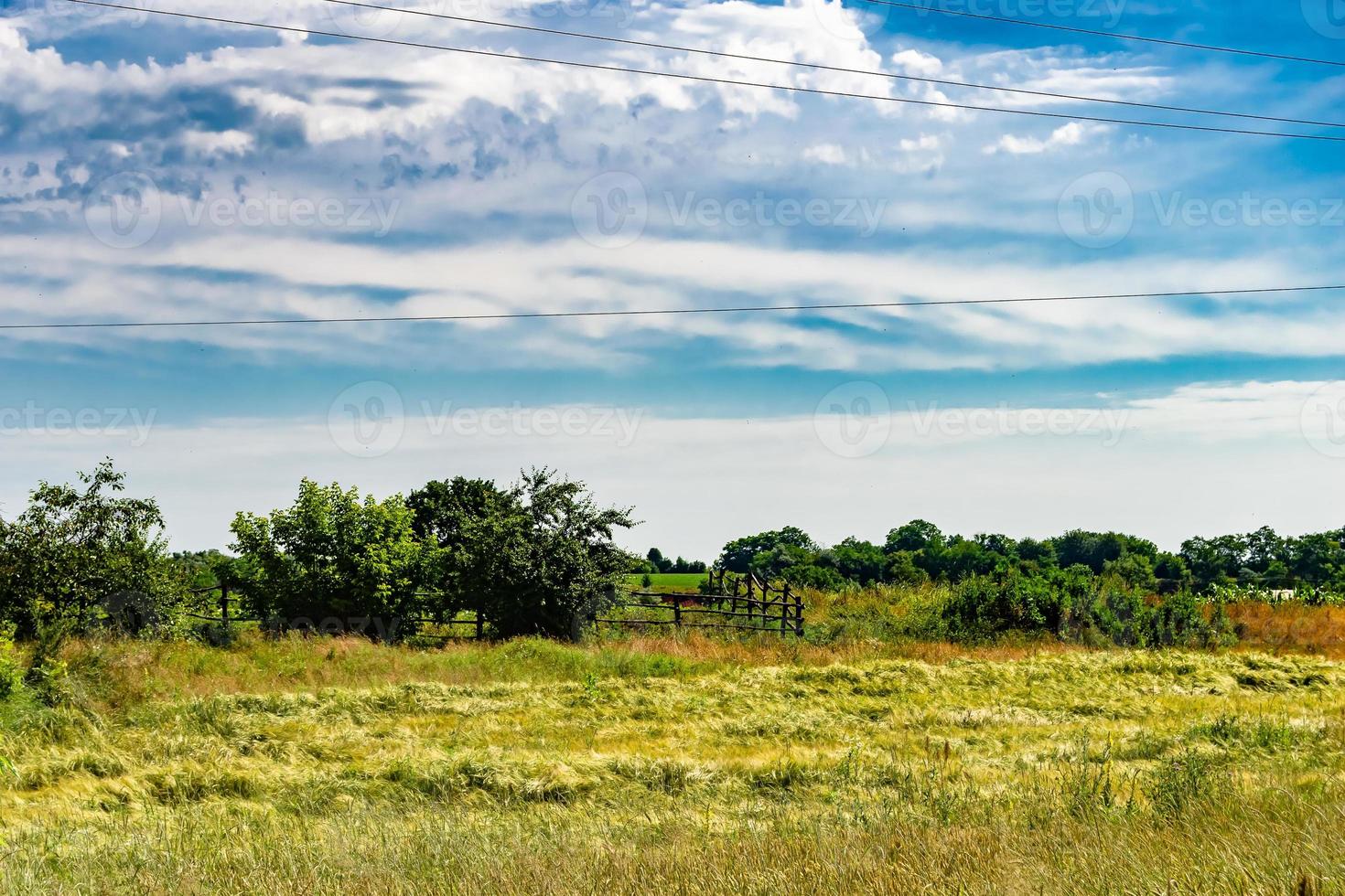 Beautiful horizon scenery in village meadow on color natural background photo