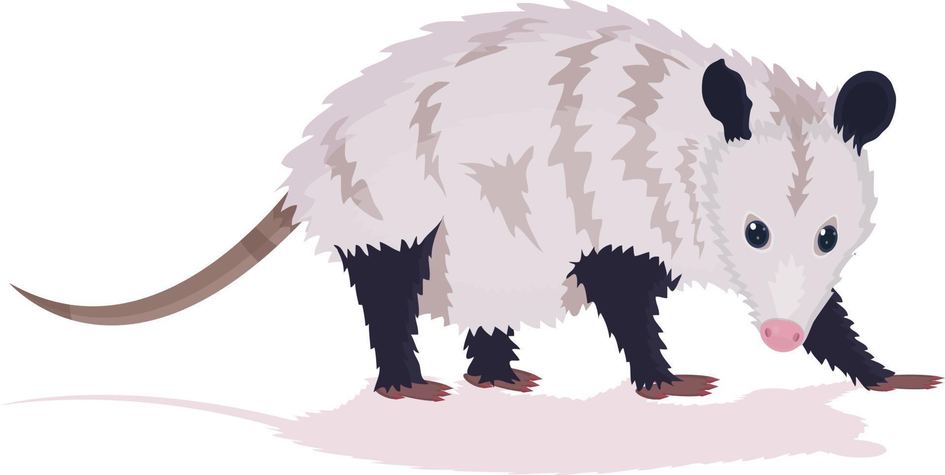 opossum flat vector illustration