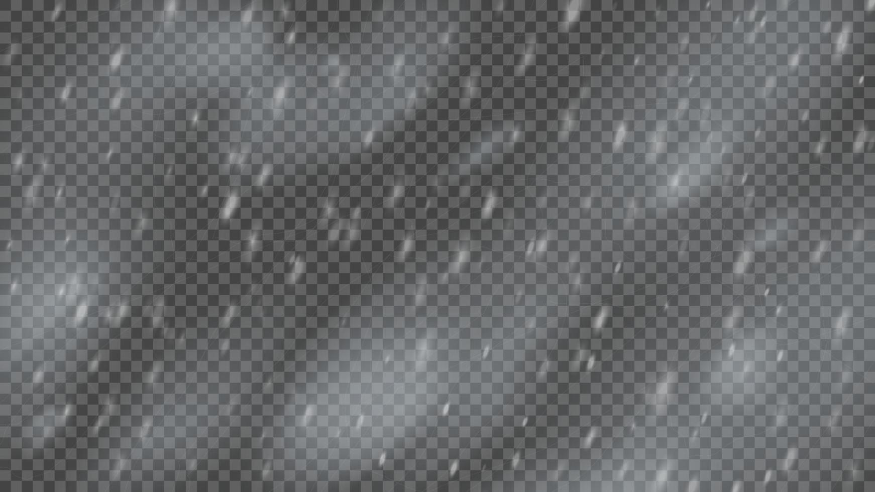 Snowstorm and falling snowflakes on transparent background. Blizzard of white snowflakes and Christmas snow. Vector illustration