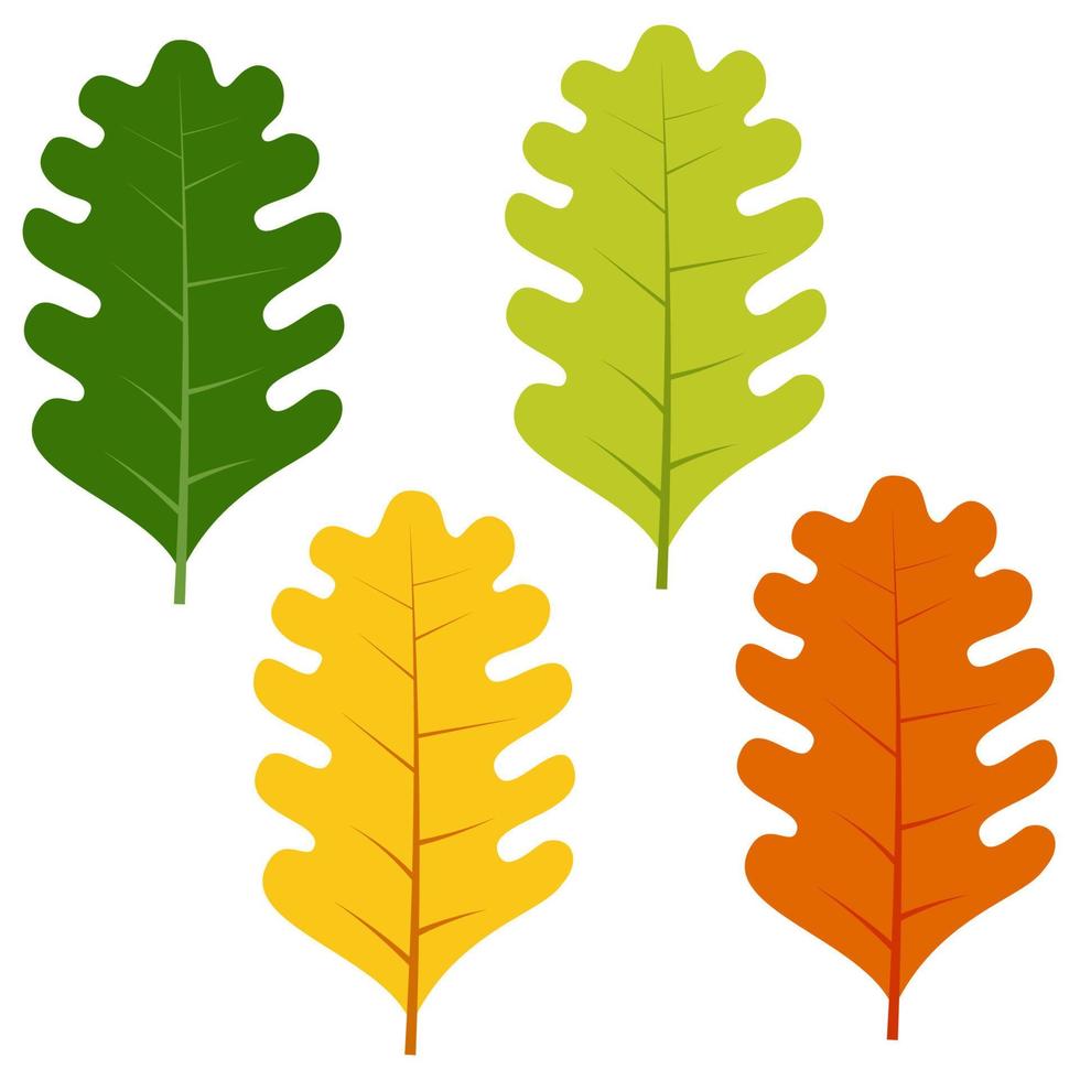 Set of green, yellow and red leaves isolated on white background. Vector illustration of autumn leaves.