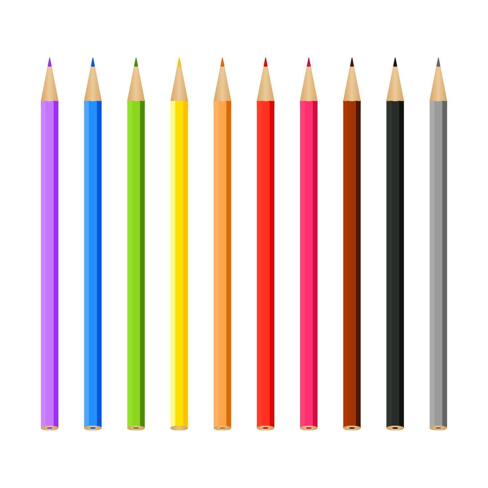 Set of multi-colored pencils on a white background vector