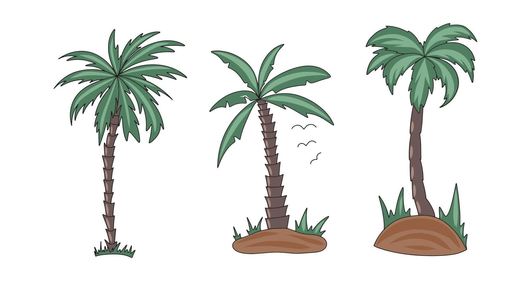 Vector graphics of different shapes of palm tree colored with a stroke outline on a white background