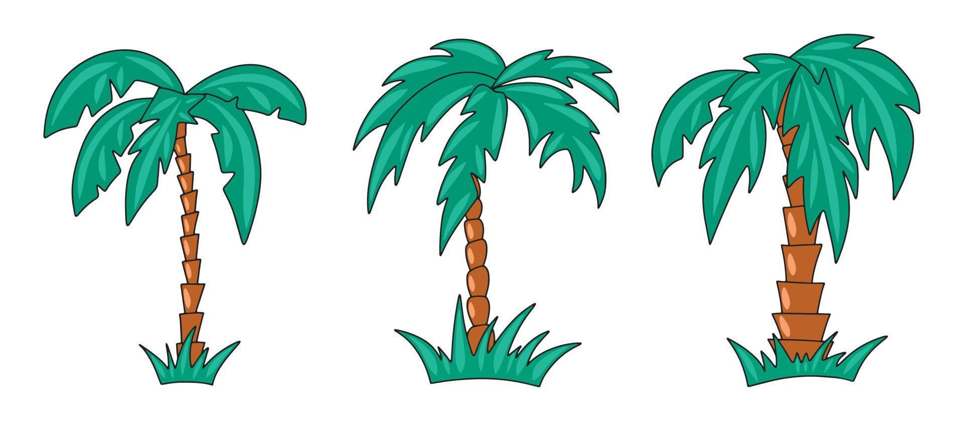 Vector graphics of different shapes of palm tree colored with a stroke outline on a white background