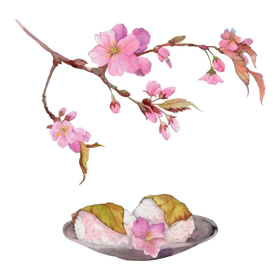 Watercolor hand drawn traditional Japanese sweets. Spring wagashi, sakura mochi, daifuku, cherry. Isolated on white background. Design for invitations, restaurant menu, greeting cards, print, textile vector