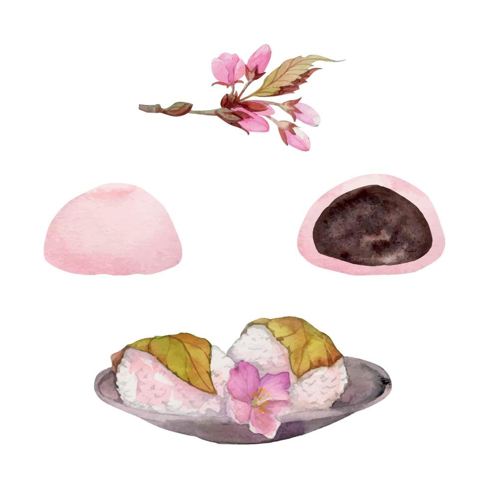 dulces japoneses tradicionales dibujados a mano con acuarela. primavera wagashi, sakura mochi, daifuku, cereza. aislado sobre fondo blanco. diseño para invitaciones, menú de restaurante, tarjetas de felicitación, impresión, textil vector