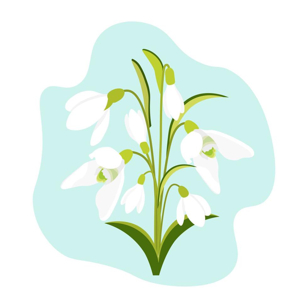 Group of snowdrops. Vector liiustration