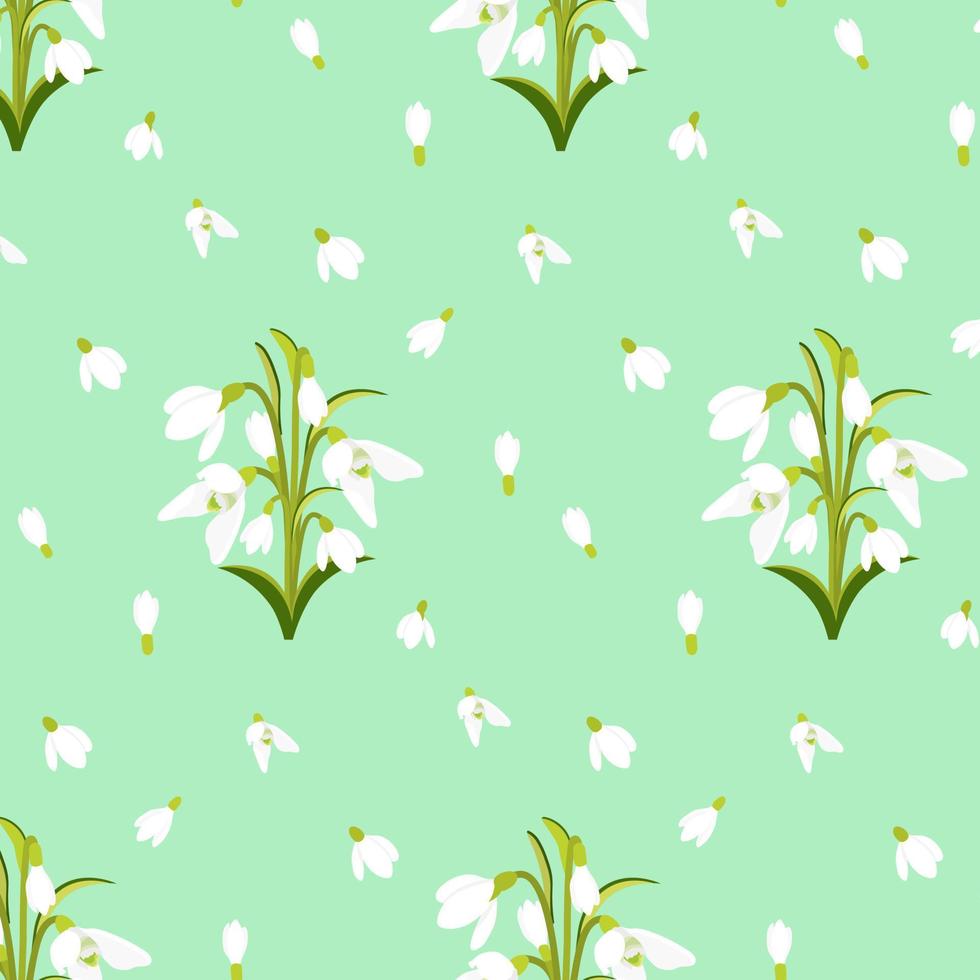 Snowdrops. Early spring flower.  Seamless pattern. Vector liiustration