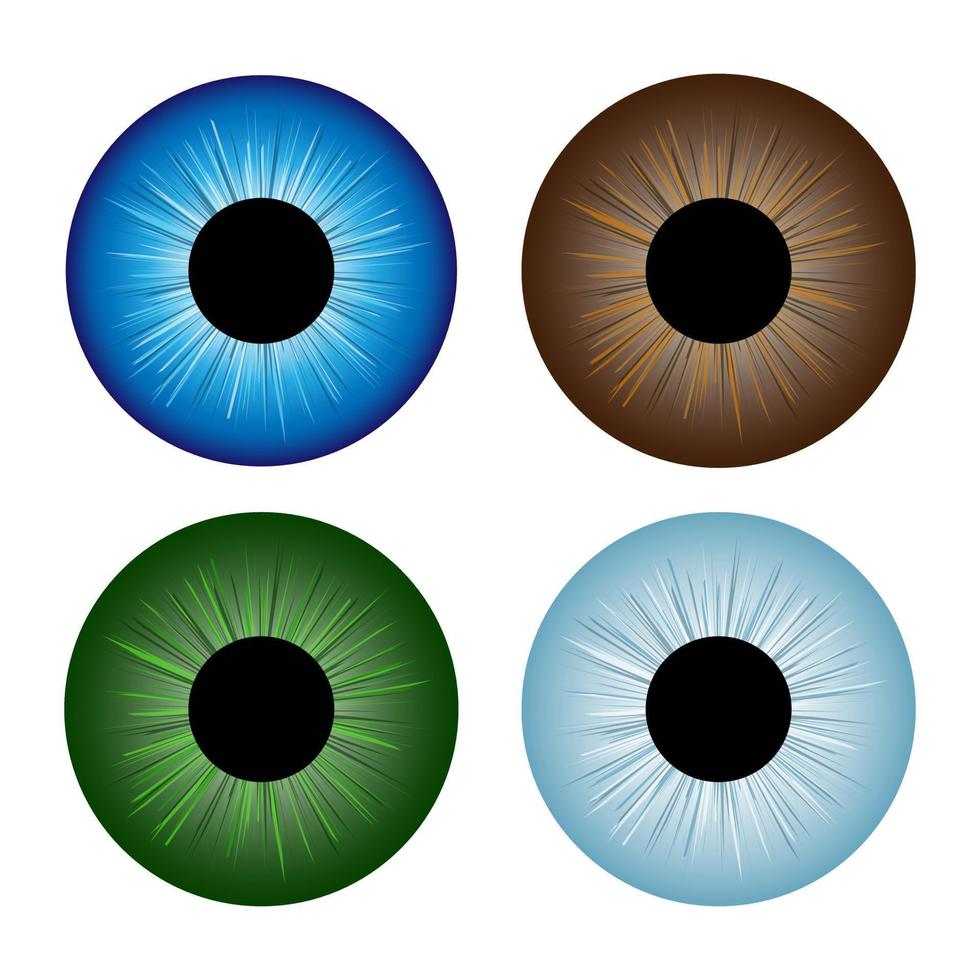 conjunto de pupilas de iris de globos oculares humanos - colores surtidos. vector