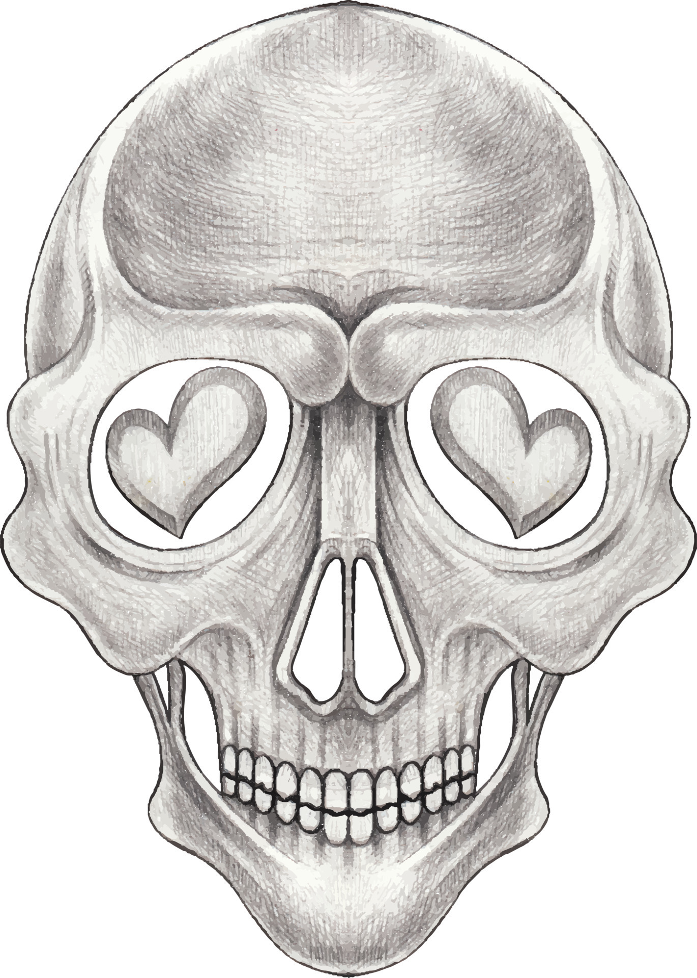 Art fancy skull. Hand drawing on paper and make graphic vector