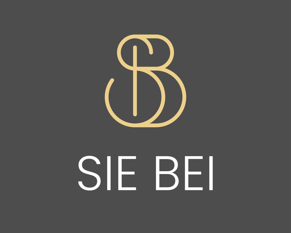 letra sb bs líneas mínimo elegante moderno real con clase simple minimalista lujo vector logo diseño