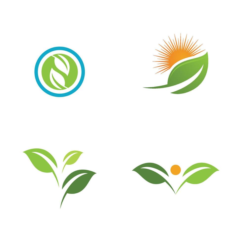 Logos of green Tree leaf ecology vector