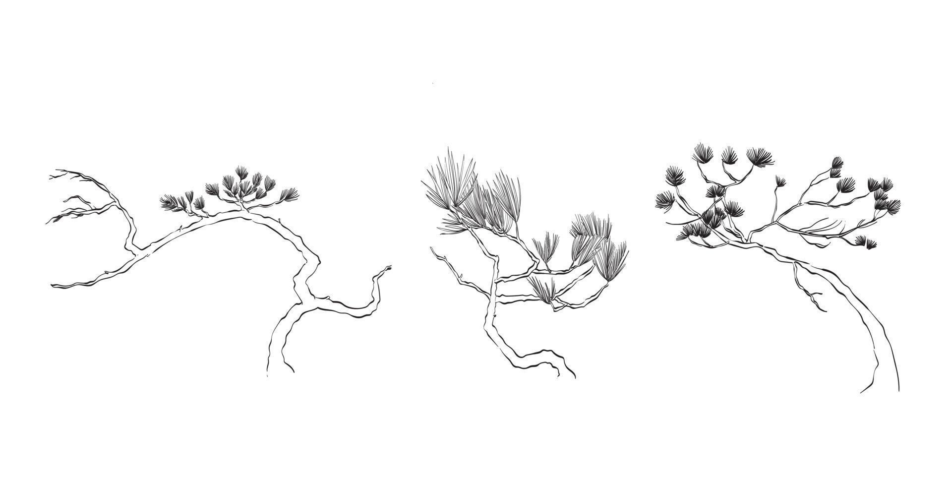 Bonsai illustration vector for design element vector. Line Hand Drawn nature Illustration. Black meadow of pine tree, herbs isolated on white background. Botanical plant.
