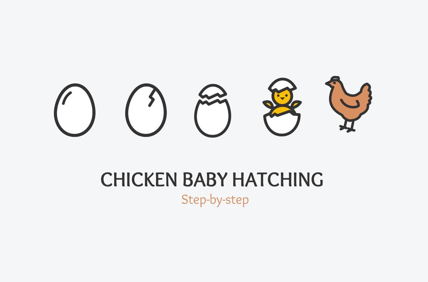 concepto de eclosión de bebés de pollo con iconos de líneas finas. vector