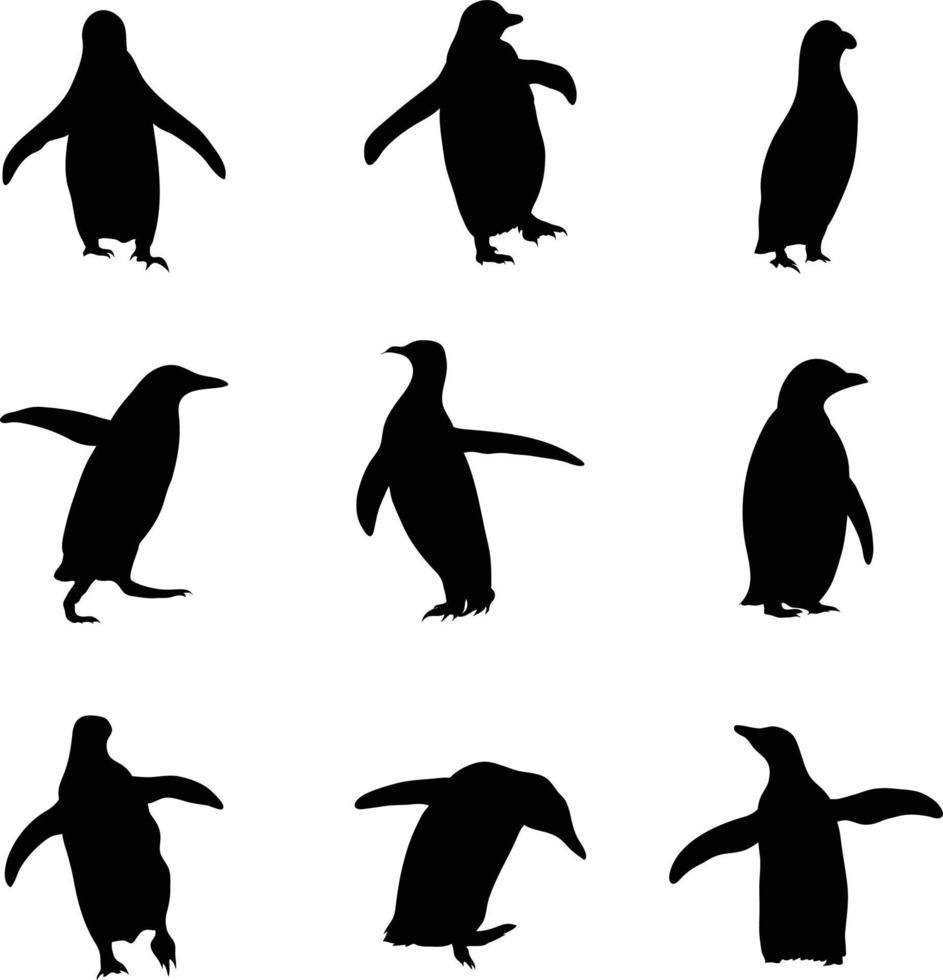 una colección vectorial de pingüinos para composiciones artísticas vector