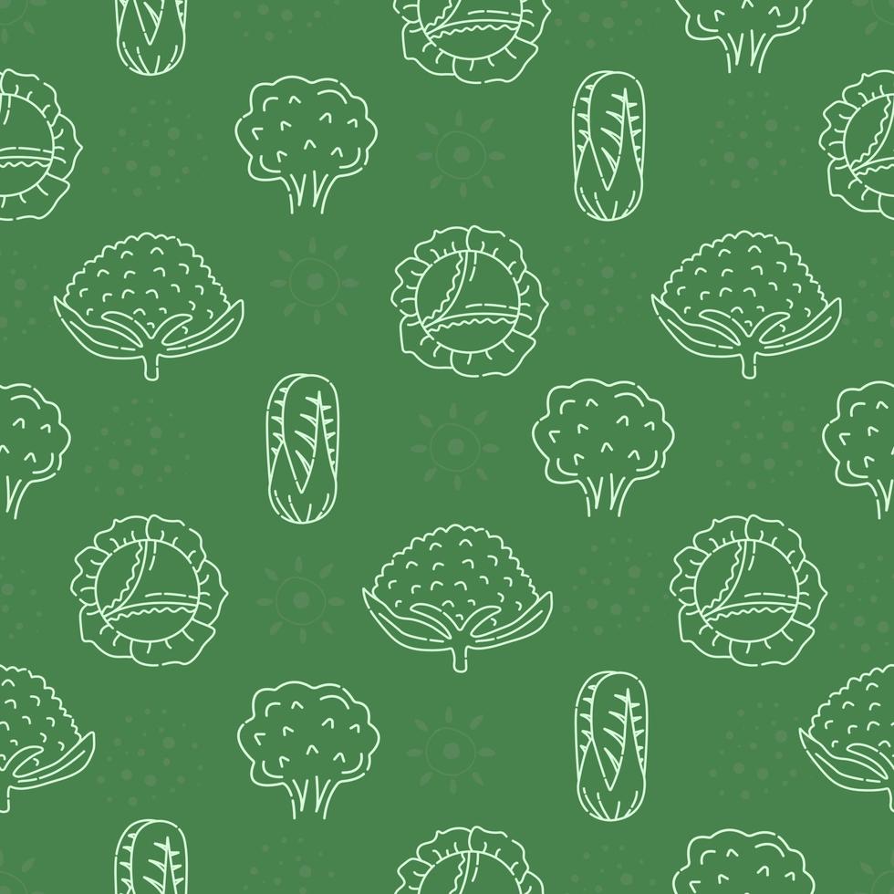 Different types of cabbage, seamless pattern vector