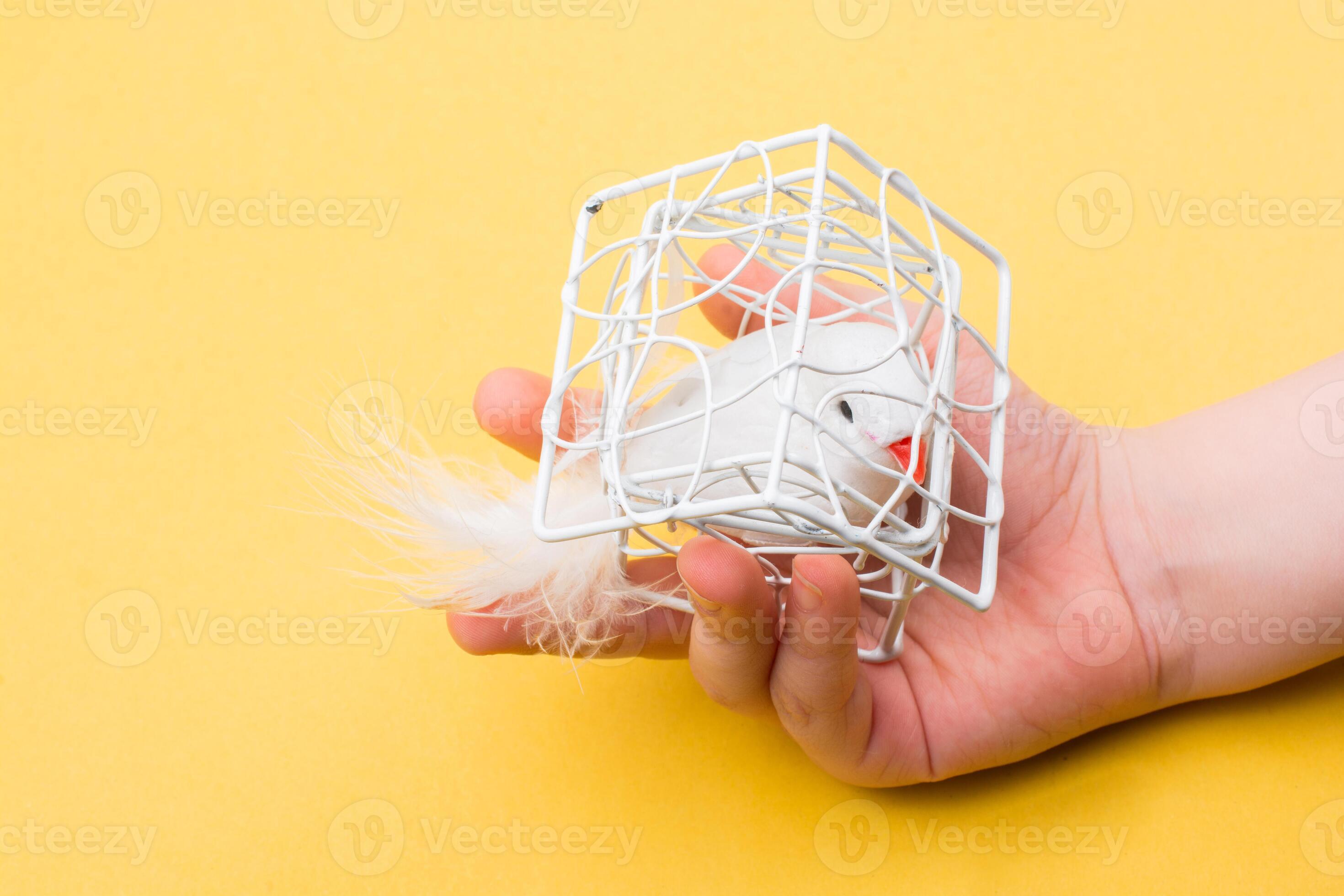 Fake bird toy in cage. home interior decoration 17089957 Stock Photo at