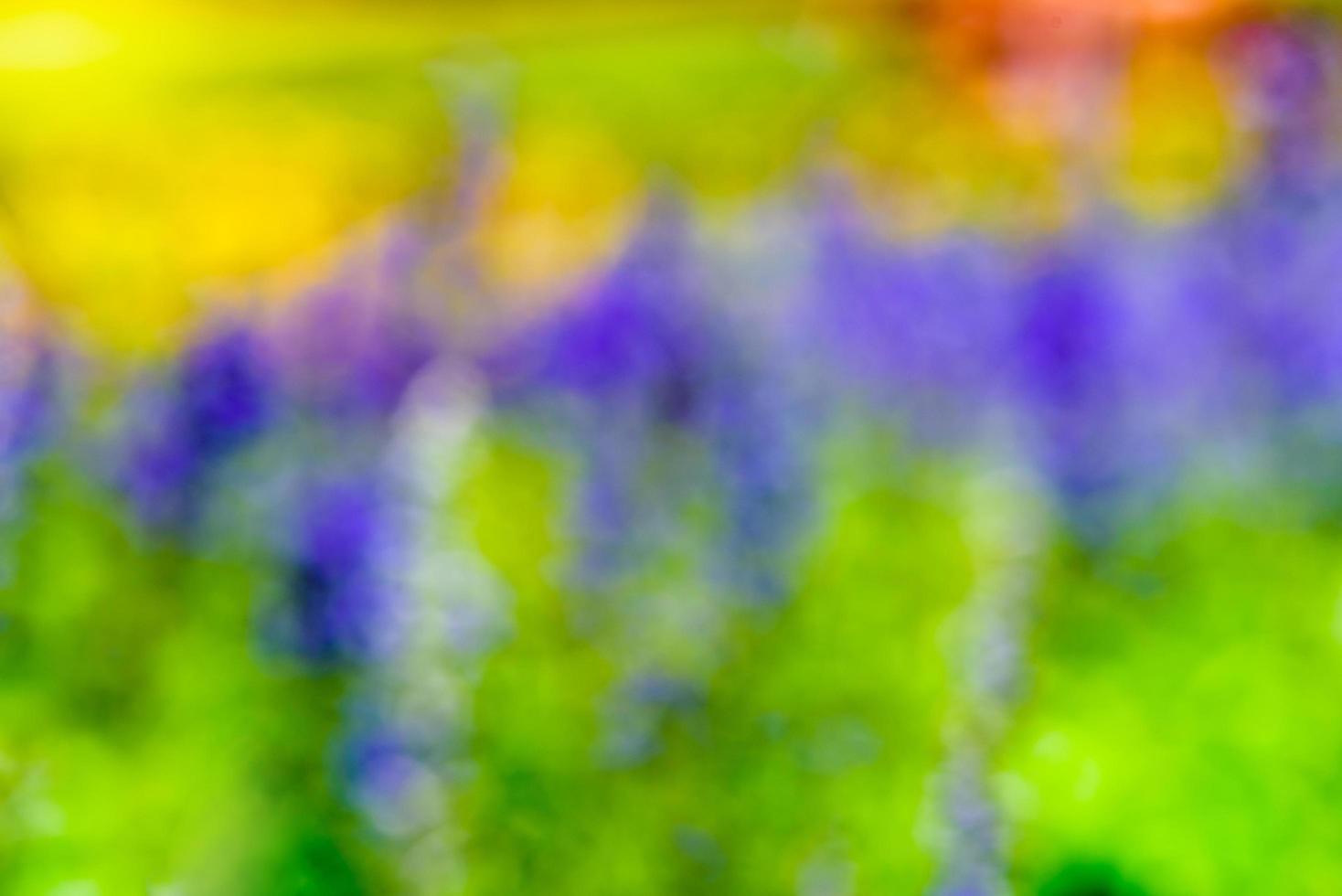 Abstract colors blur flower for background photo