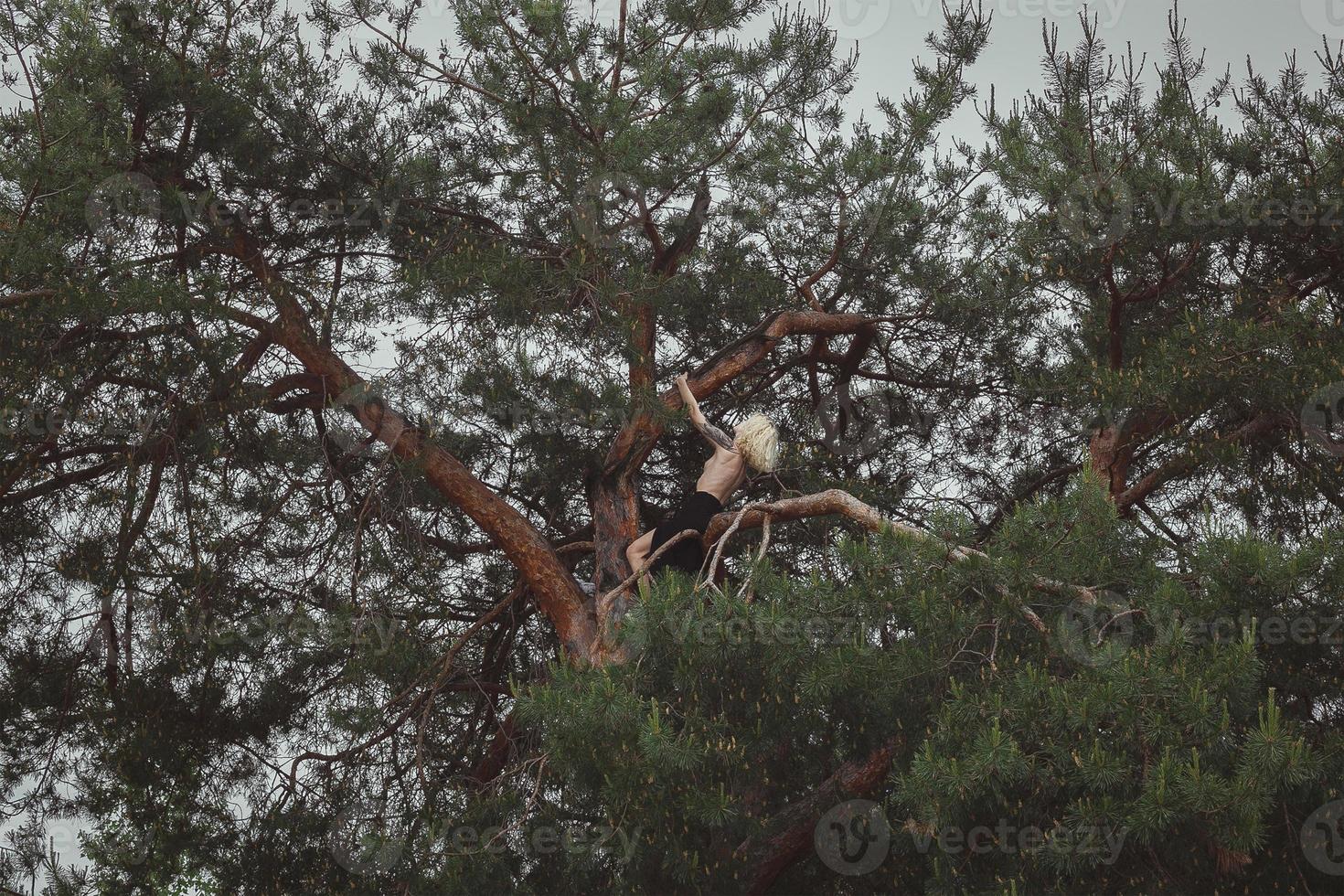 Woman with bare chest sitting on pine tree scenic photography photo