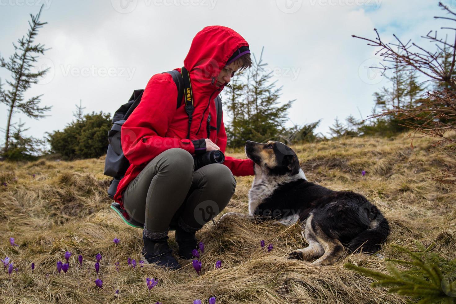 Female tourist with dog on hill scenic photography photo